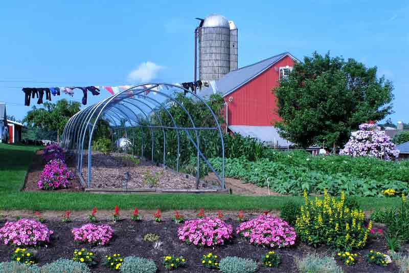 Pleasant View Greenhouse