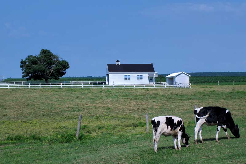 Schools Out For Summer in Amish Country