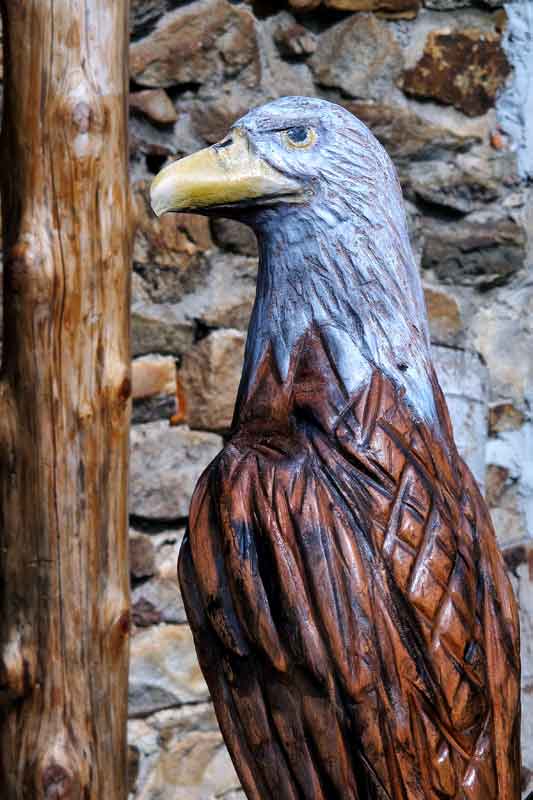 Ready to Fly Eagles, Fly...