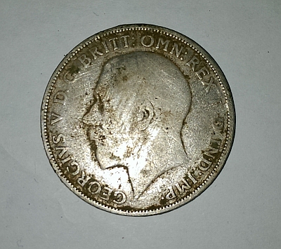 florin 2.jpg