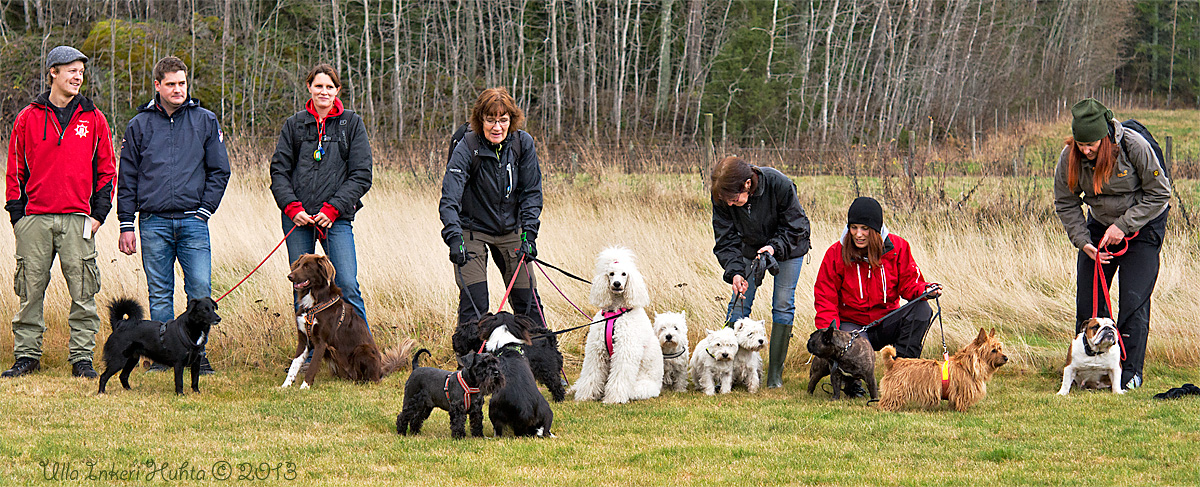 Dogwalk November 2, 2013. 