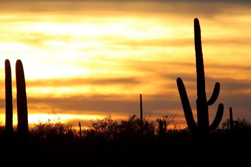Sunset Tucson, AZ, 2-18-14, Jp_9832.JPG