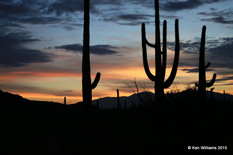 Sunrise, Saguaro National Park, AZ, 8-24-15, Ja_1711.jpg