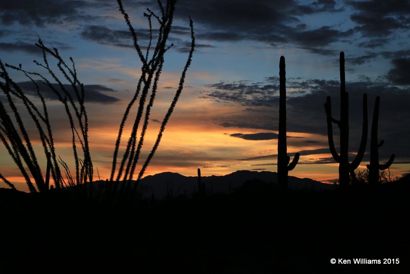 Sunrise, Saguaro National Park, AZ, 8-24-15, Ja_1716.jpg