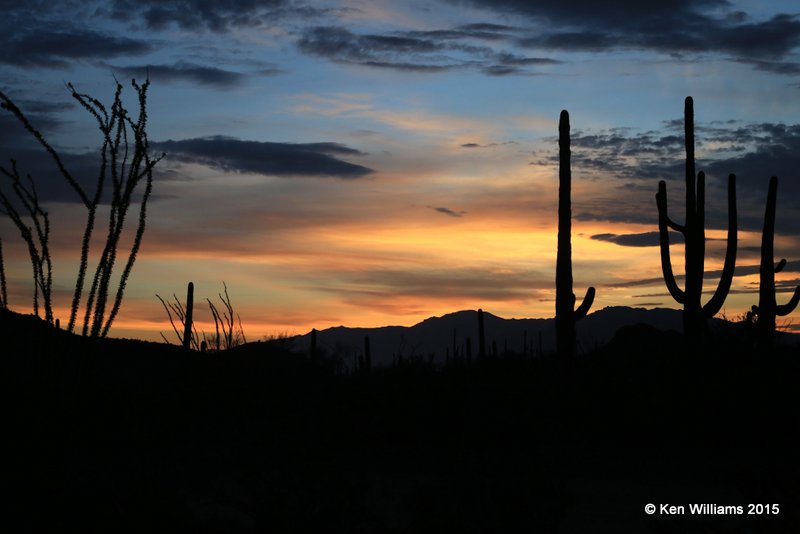 Sunrise, Saguaro National Park, AZ, 8-24-15, Ja_1717.jpg