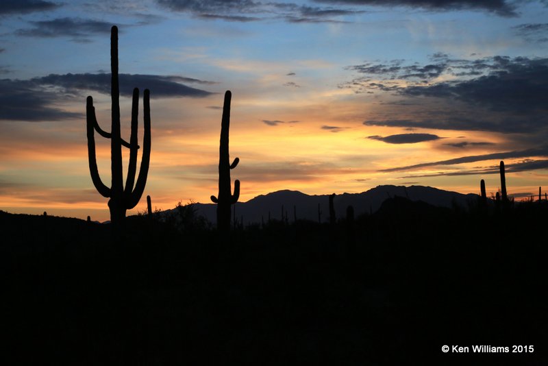 Sunrise, Saguaro National Park, AZ, 8-24-15, Ja_1721.jpg