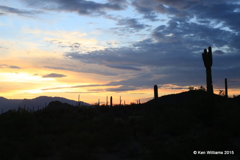 Sunrise, Saguaro National Park, AZ, 8-24-15, Ja_1731.jpg