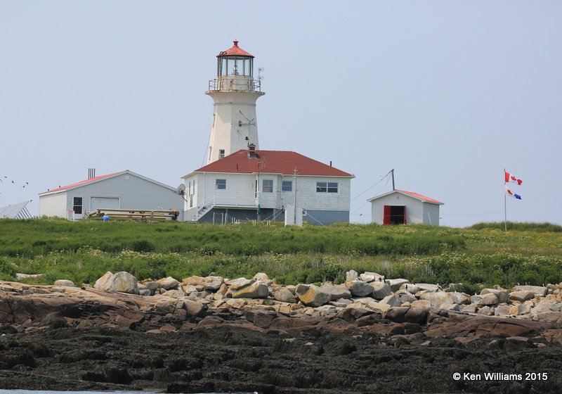 Light house Machias Seal Island, Canada or Maine, 7-12-15, Jp _2368.jpg