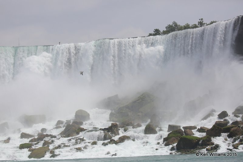 Niagara Falls - American Falls, 07_07_2015_Jp_06025.jpg