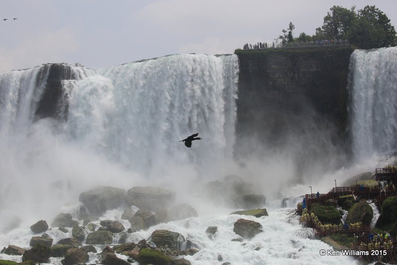 Niagara Falls - American Falls, NY, 07_07_2015_Jp_06027.jpg