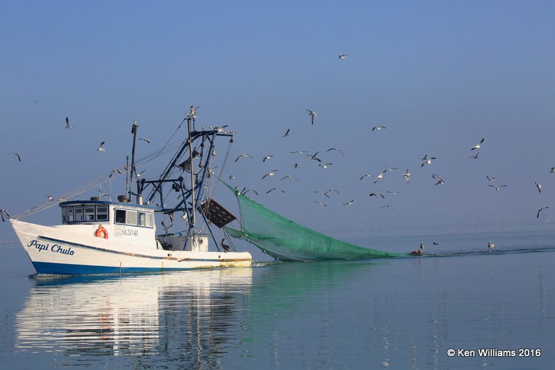 Shrimp Boat, Port Isbella, TX, 02_16_2016, Jpa_08722.jpg