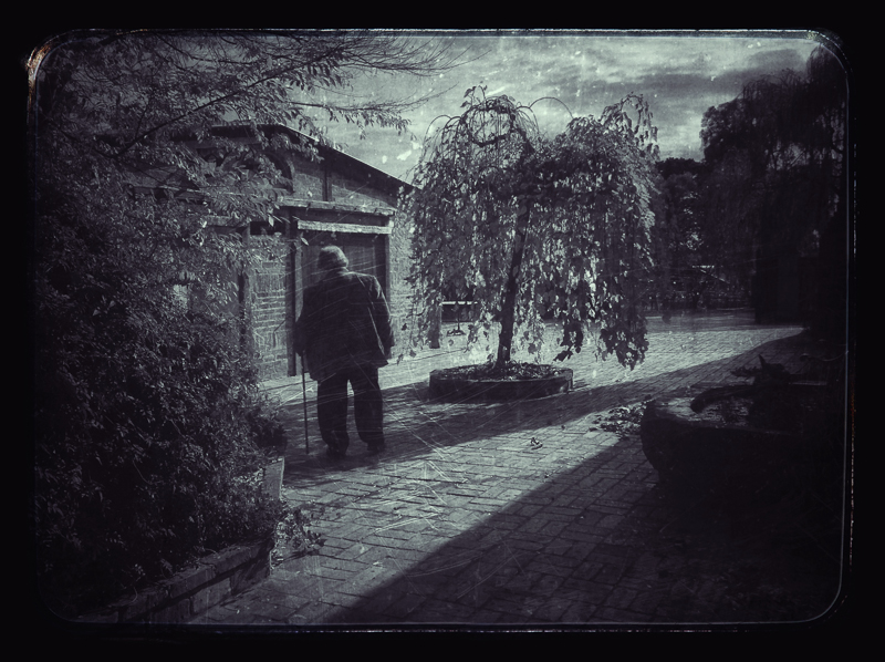 In his garden