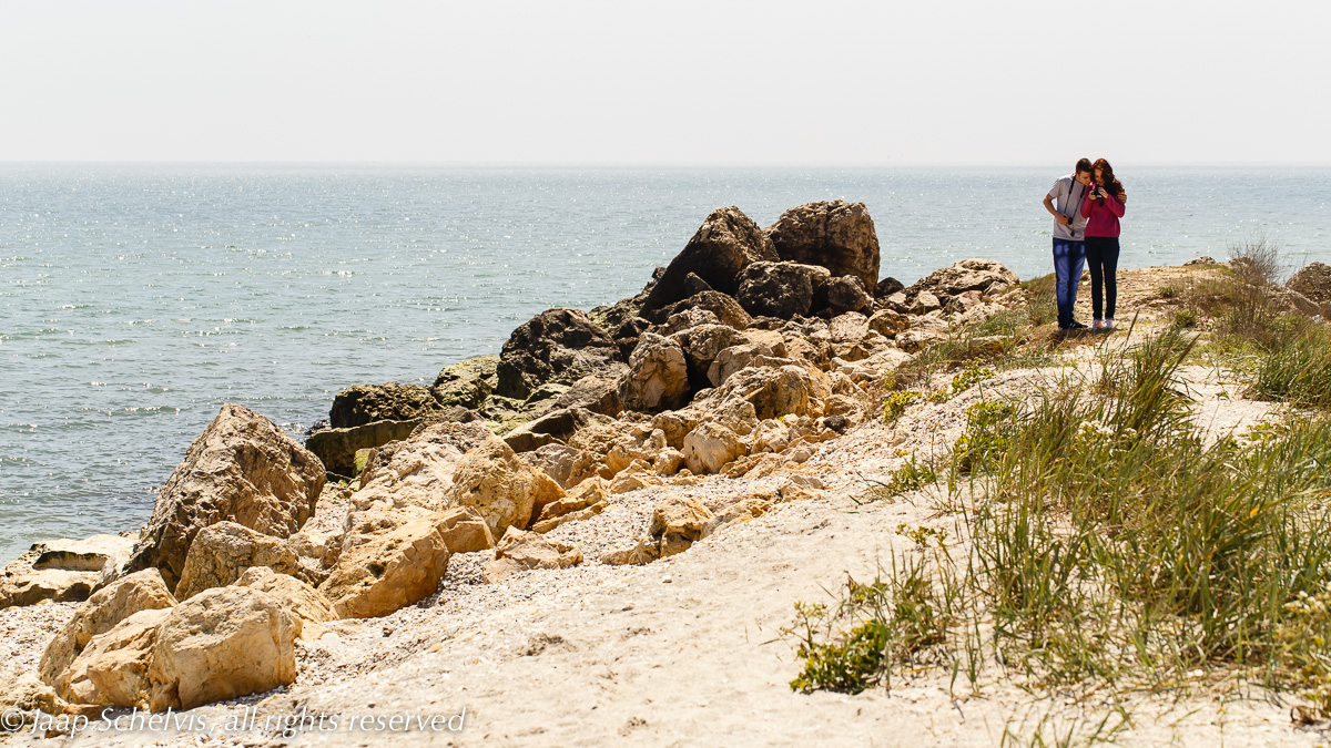 Chimping at the Black sea coast