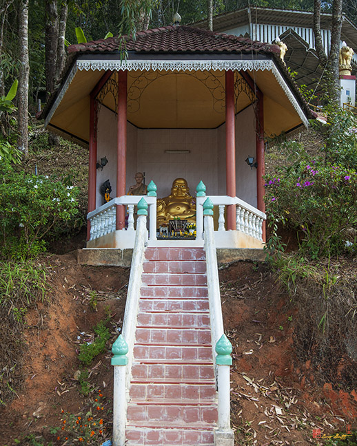 Wat Doi Pui Buddha Shrine (DTHCM0455)