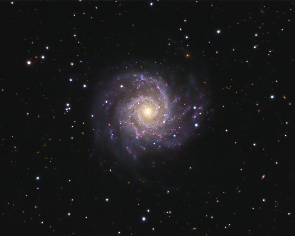M 74