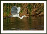 IMG_2316ps-web.jpg