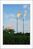 Texaco's Oil Exploitation and Toxic Footprint