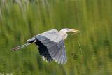 GBH In flight