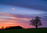 Staffordshire Sunset