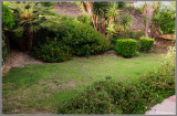 Backyard Hill