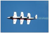 snowbirds