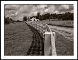 Dairy Farm on a Hill 2