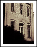 Arched Windows