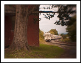 Train and Tree