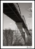 Under Walnut Street Bridge