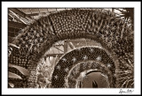 Orchid House Arches, Toned