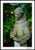 St Francis with bird