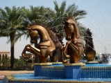 Horses Dubai UAE