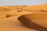 IMG_0240 Liwa Desert in Empty Quarter UAE