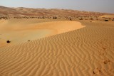 IMG_0257 Liwa Desert in Empty Quarter UAE