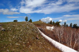 Picture a Day in The Black Hills