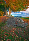 _MG_1704 Kearsarge Vista  #Three