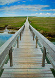 Footbridge @ Cape Cod  # 5.06-5883