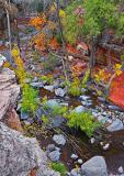 Oak Creek Above II