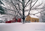 White Christmas - Holliston, Massachusetts