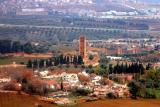 Mosque,minaret Mansourah tlemcen et dependances