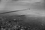 IMG_1718 - Dead Sea