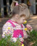 Flowers at the Zoo.jpg