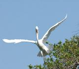 DSC_0173.jpg
