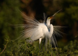 DSC_2258-p.jpg