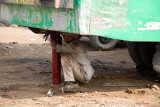 Fixing the bus