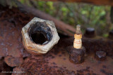 Fordson tractor detail