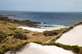 Sand dunes and west coast beach