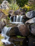 Water feature