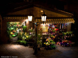 Central Station Florist