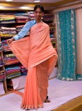 Sari model